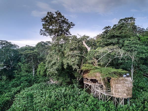 Ngaga Lodge - Kamba African Rainforest Experiences 5