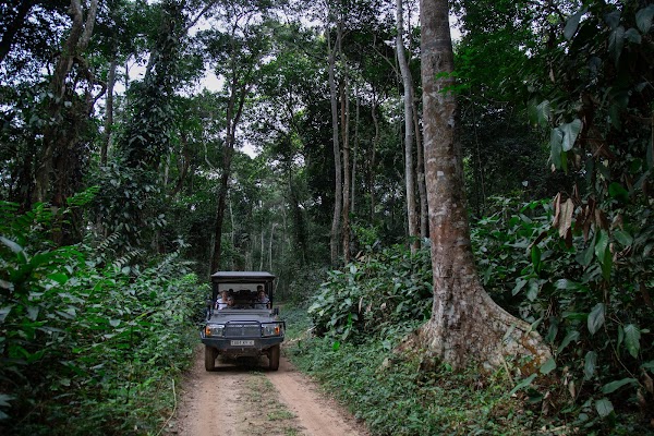 Ngaga Lodge - Kamba African Rainforest Experiences 2