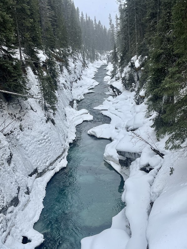 Numa Creek Trail