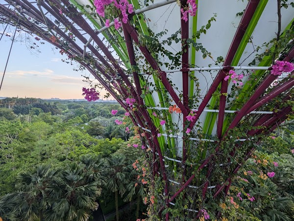 OCBC Skyway 4