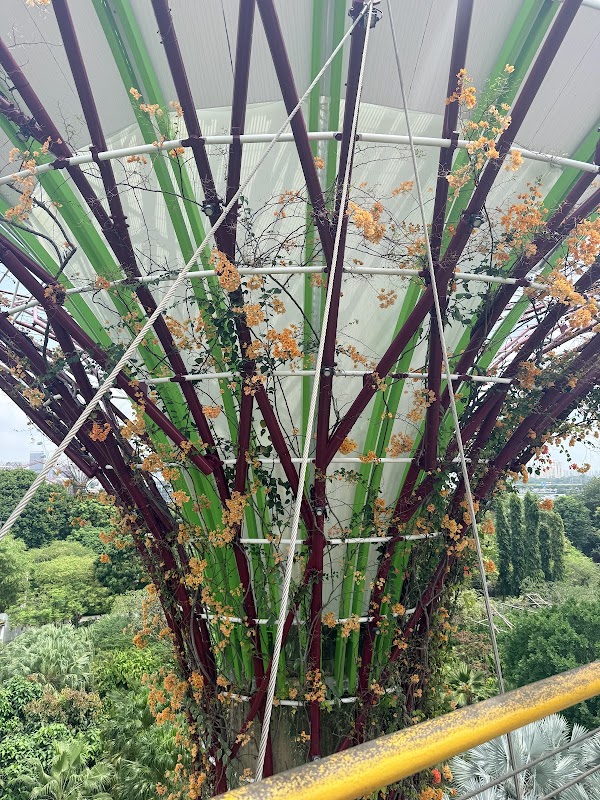 OCBC Skyway 3