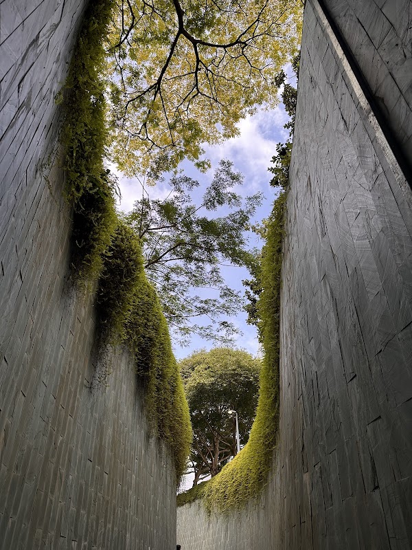 Fort Canning Tree Tunnel 5