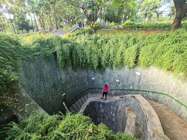 Fort Canning Tree Tunnel 3