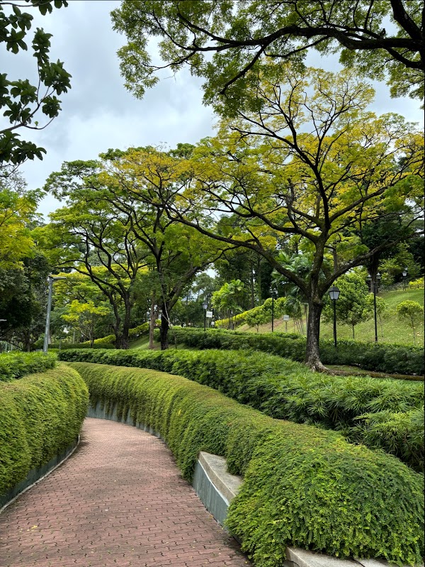 Fort Canning Tree Tunnel 2