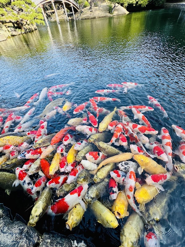 Ritsurin Garden 3