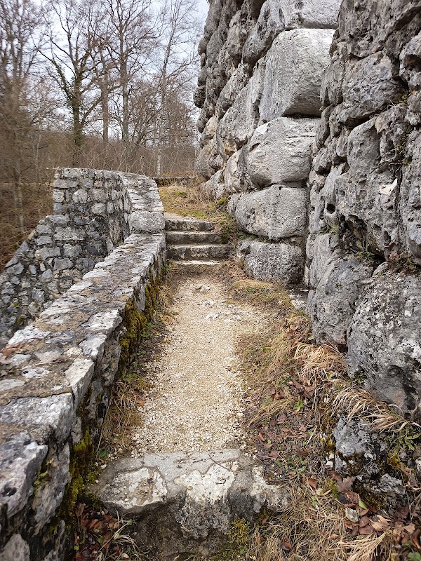 Burg Hohengundelfingen 2