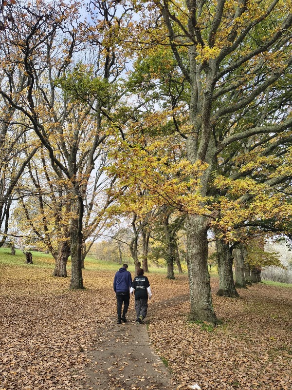 Campaspe Riverwalk Track 1