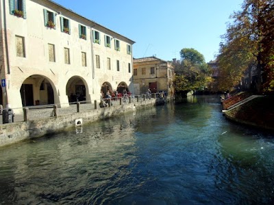 Treviso