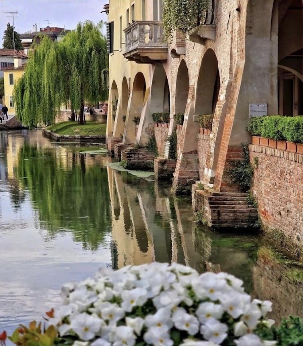 Treviso 5