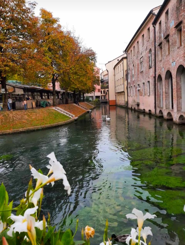 Treviso 4