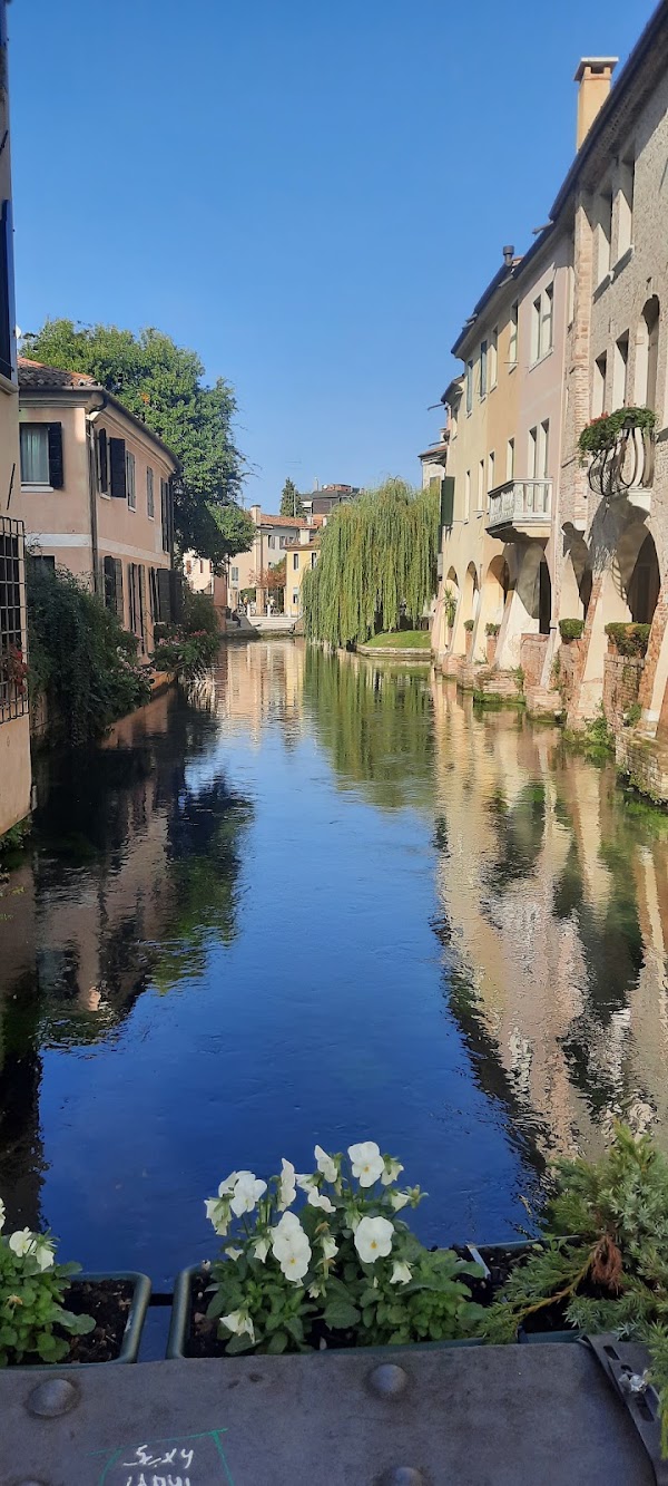 Treviso 3