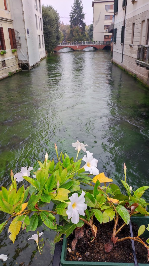 Treviso 2