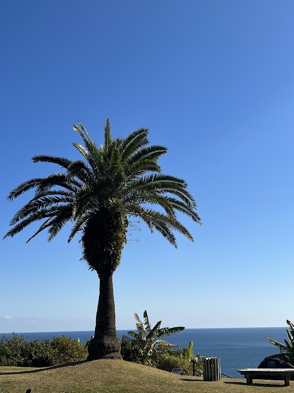 Nichinan Coast Road Park 2