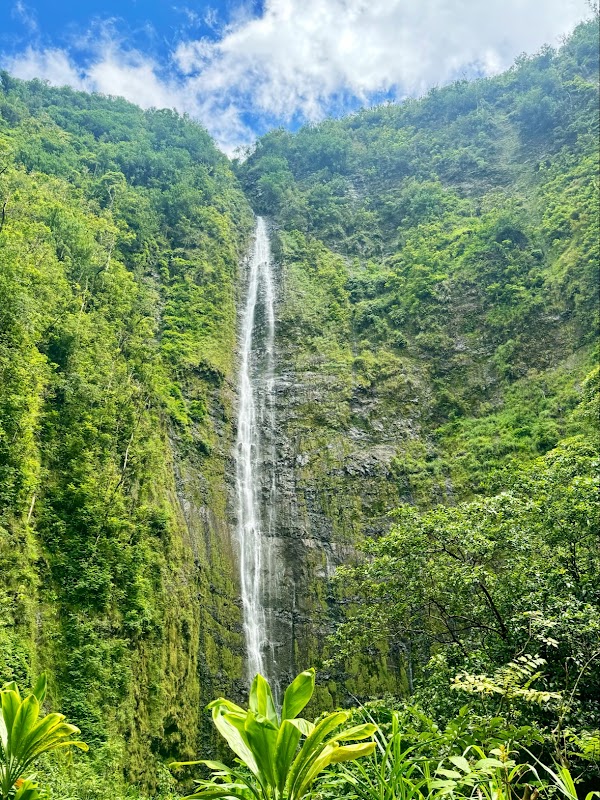 Hawaii 20