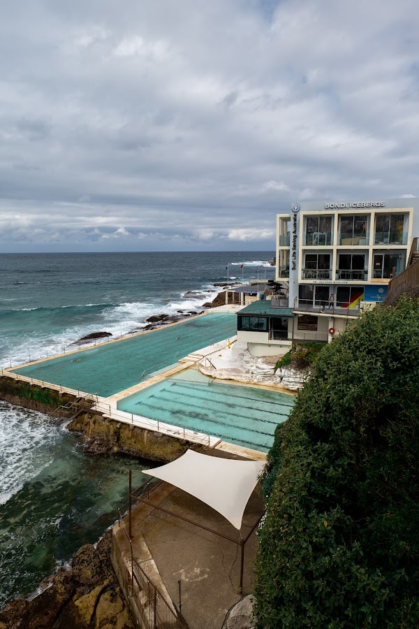 Bondi Icebergs Swimming CLUB 1