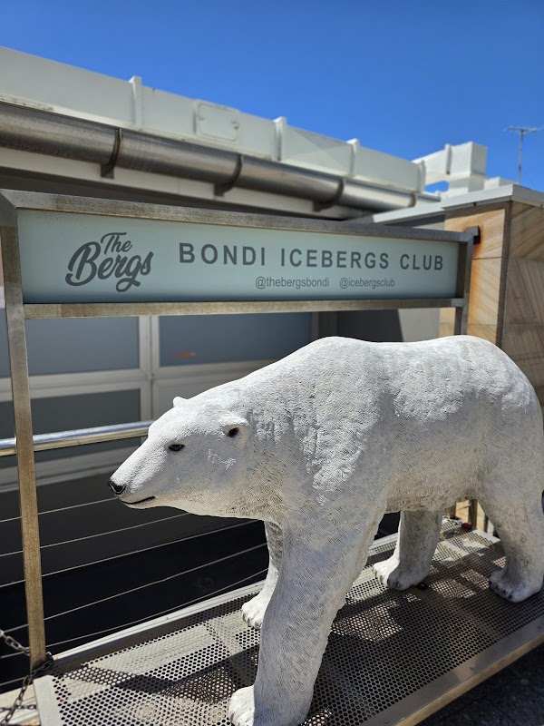 Bondi Icebergs Swimming CLUB 4