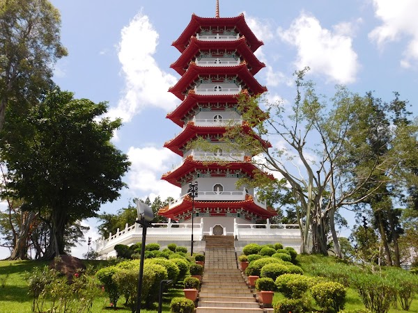 Chinese Garden