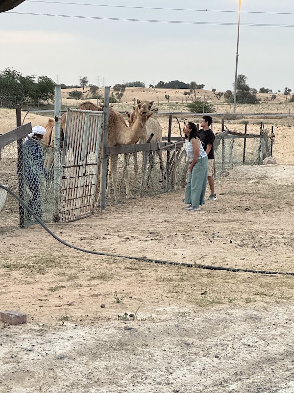Dubai 21