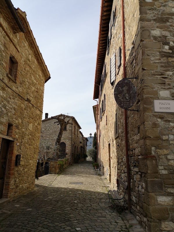 Frontino 4