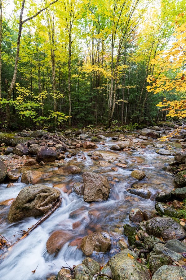 Sabbaday Falls Trail 3