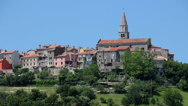 Buje