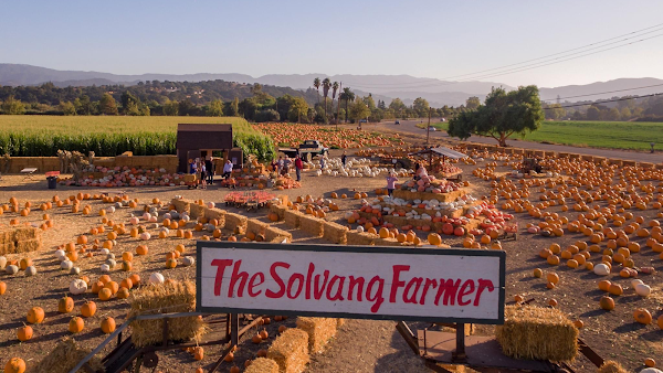 Solvang Farmer Pumpkin Patch 1