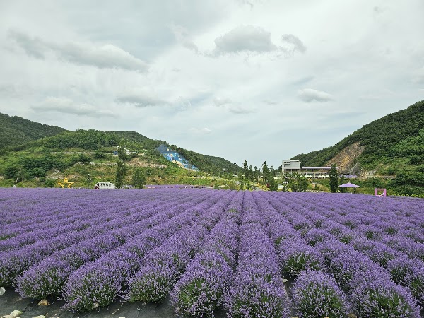 Mureung Byeolyucheonji 5