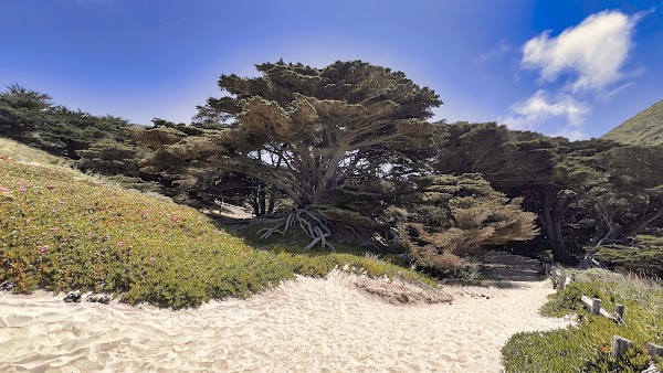 Pfeiffer Beach 4