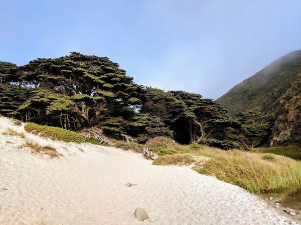 Pfeiffer Beach 3
