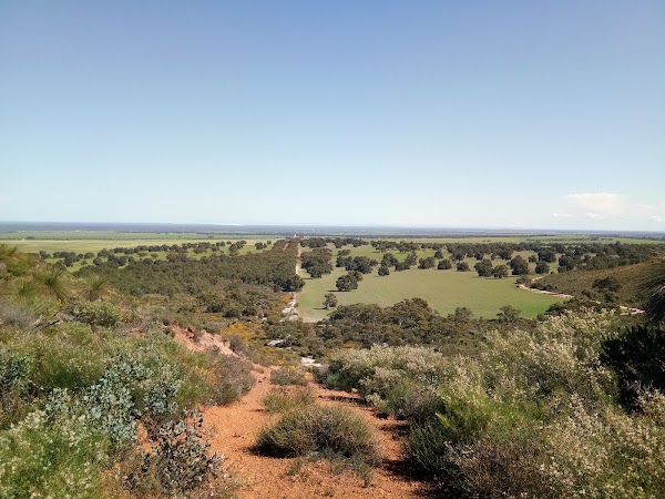 Dandaragan