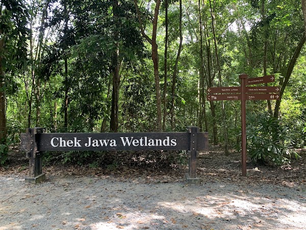 Chek Jawa Wetlands