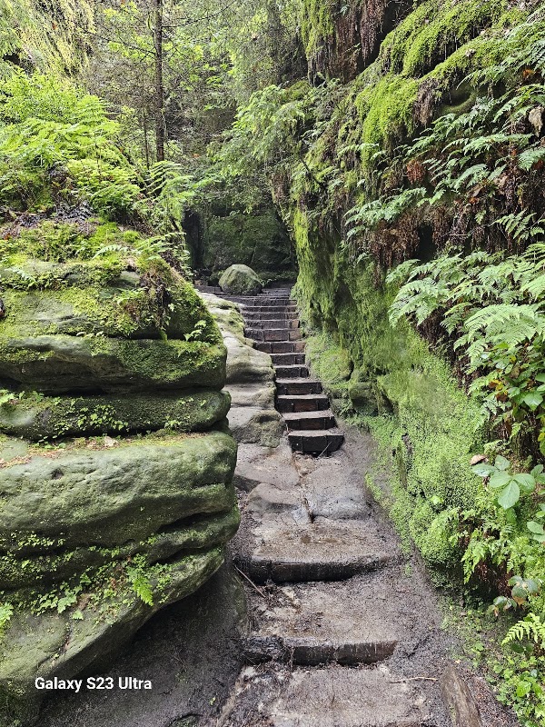 Bastei parking lot 2