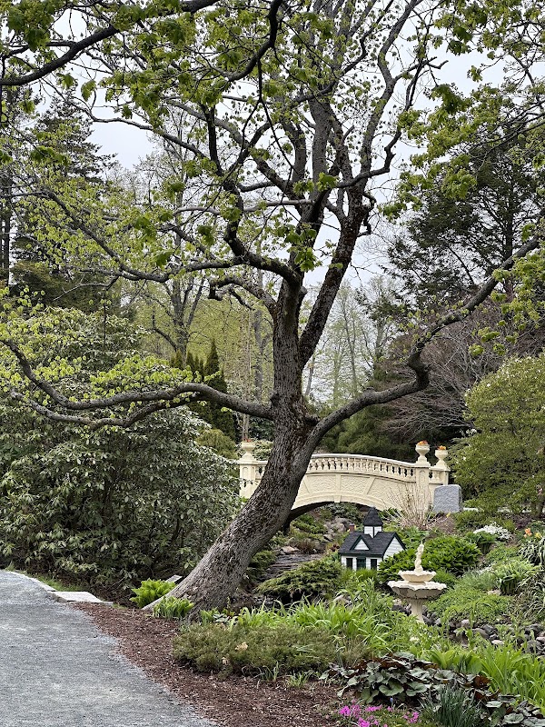 Halifax Public Gardens 3