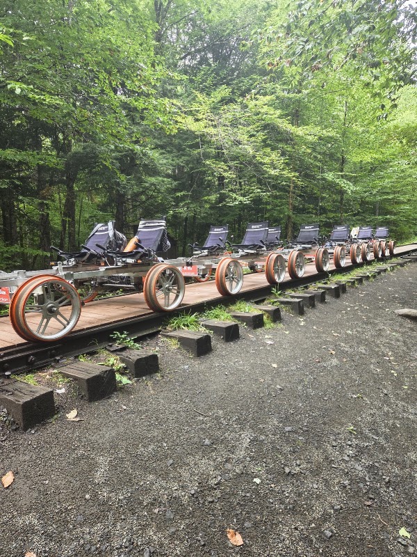 Revolution Rail Co. North Creek 2