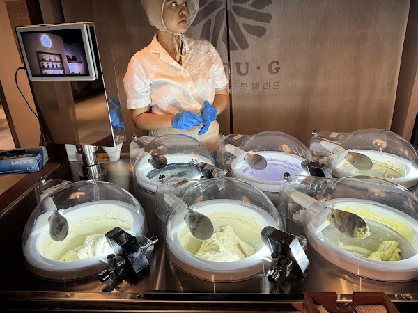 Tofu G Gelato | Korean Premium Ice Cream (Mandarin Gallery, Orchard Pop-Up) 3
