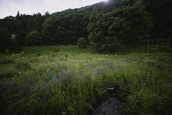 Tatsuno Hotarudoyo Park