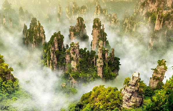 China 8