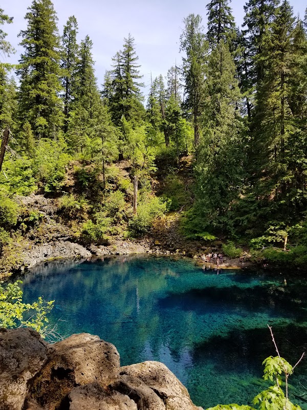 Willamette National Forest - Supervisor's Office 5