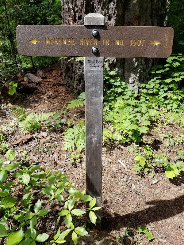 Willamette National Forest - Supervisor's Office 3
