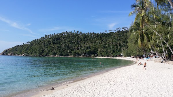 Salad Beach
