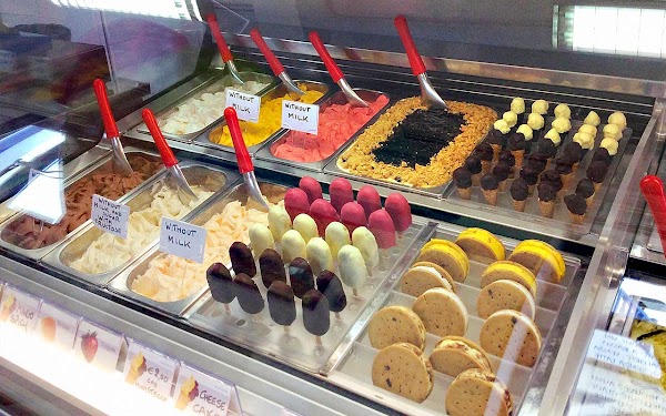 Gelateria S.Cream
