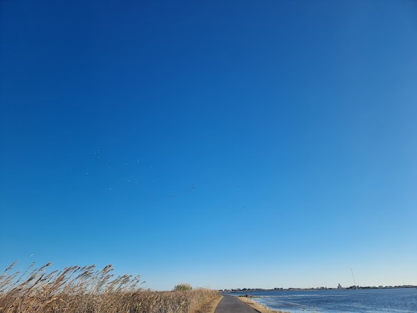 Parc Natural de l'Albufera 5