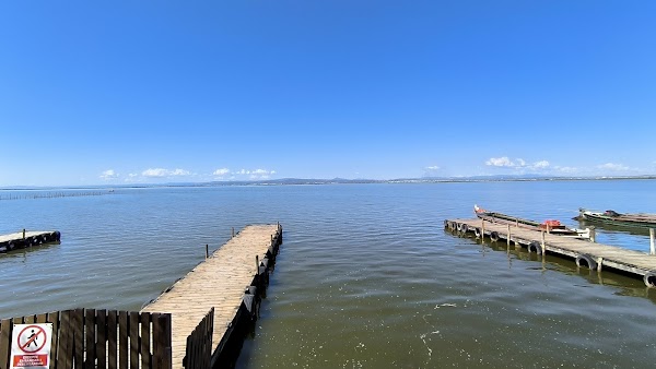 Parc Natural de l'Albufera 4
