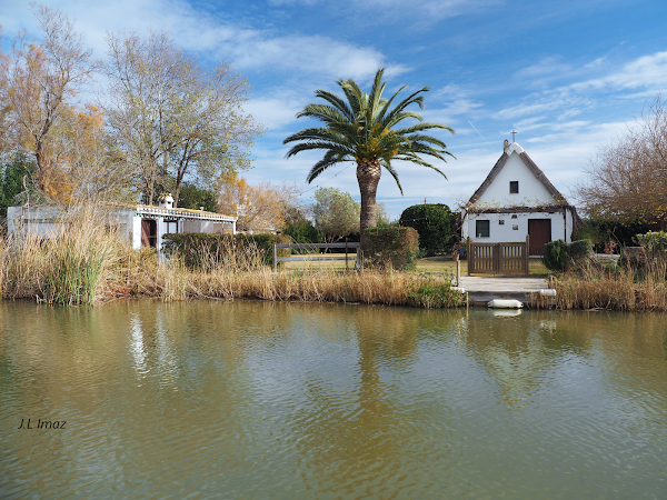 Parc Natural de l'Albufera 3
