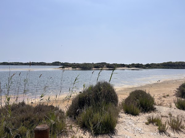 Parc Natural de l'Albufera 2