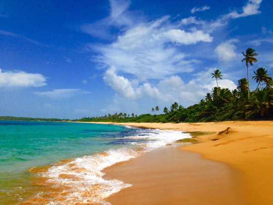 Los Tubos Beach 1