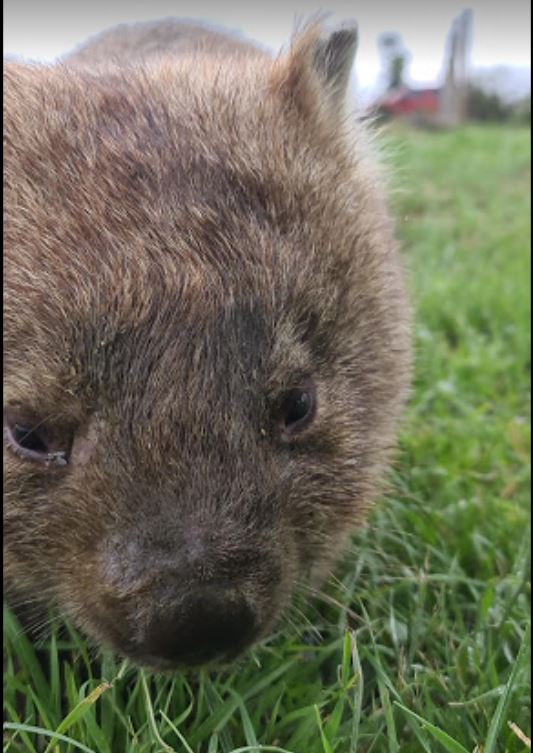 Taralga Wildlife Park