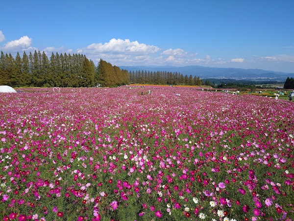 Ikoma Kogen Flower Station
