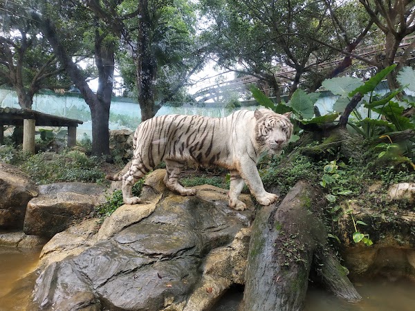 Leofoo Village Theme Park 2