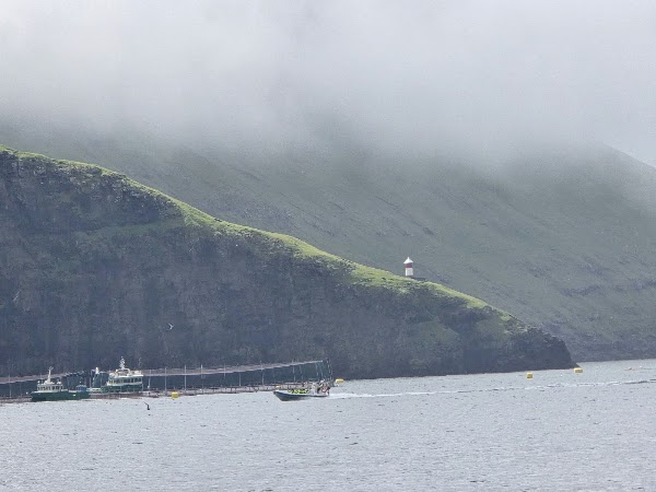 Eiðiskollur 4